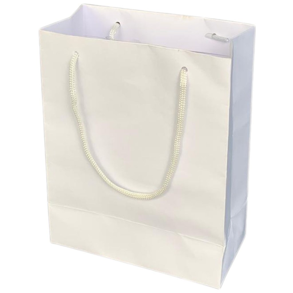 Kit 10 Sacolas Branca Embalagem Presente 20x16x9 Reforçada