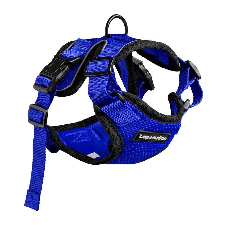 Peitoral para Cachorros Lopetudos KittyComfort1, PP, Azul, LP-PTKC-PPBL