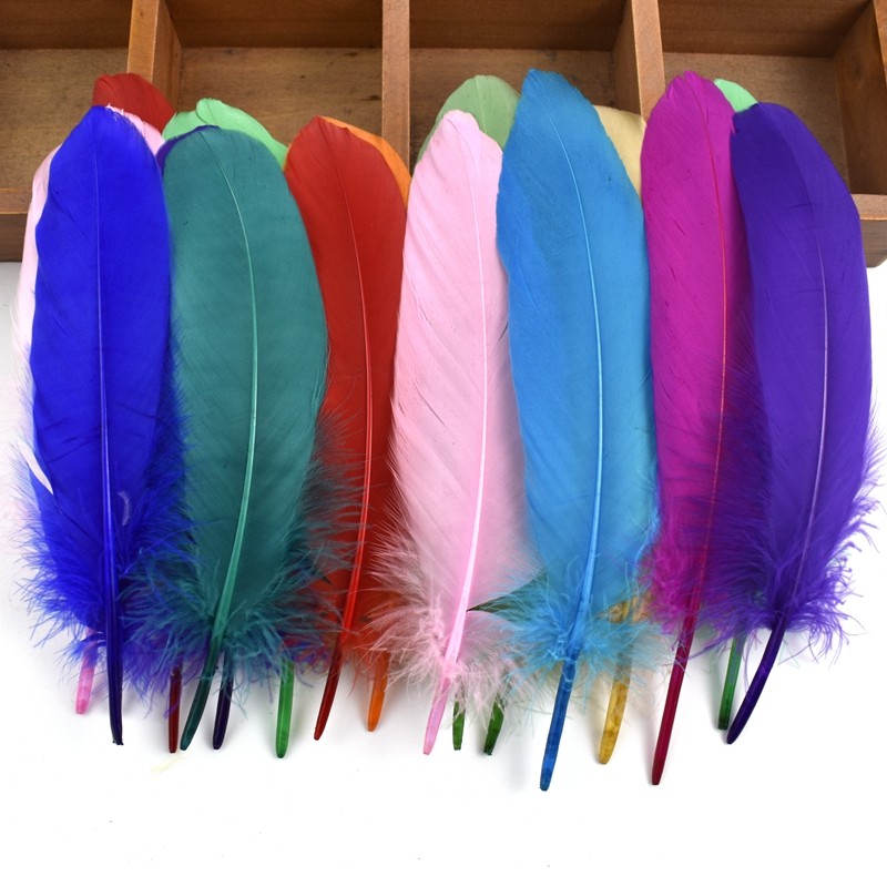 Penas De Ganso Naturais Coloridas De Poste Duro Para Plumas Artesanais 6-8 " 15-20 Cm Fazer Joias Acessórios De Artesana em Oferta na Shopee