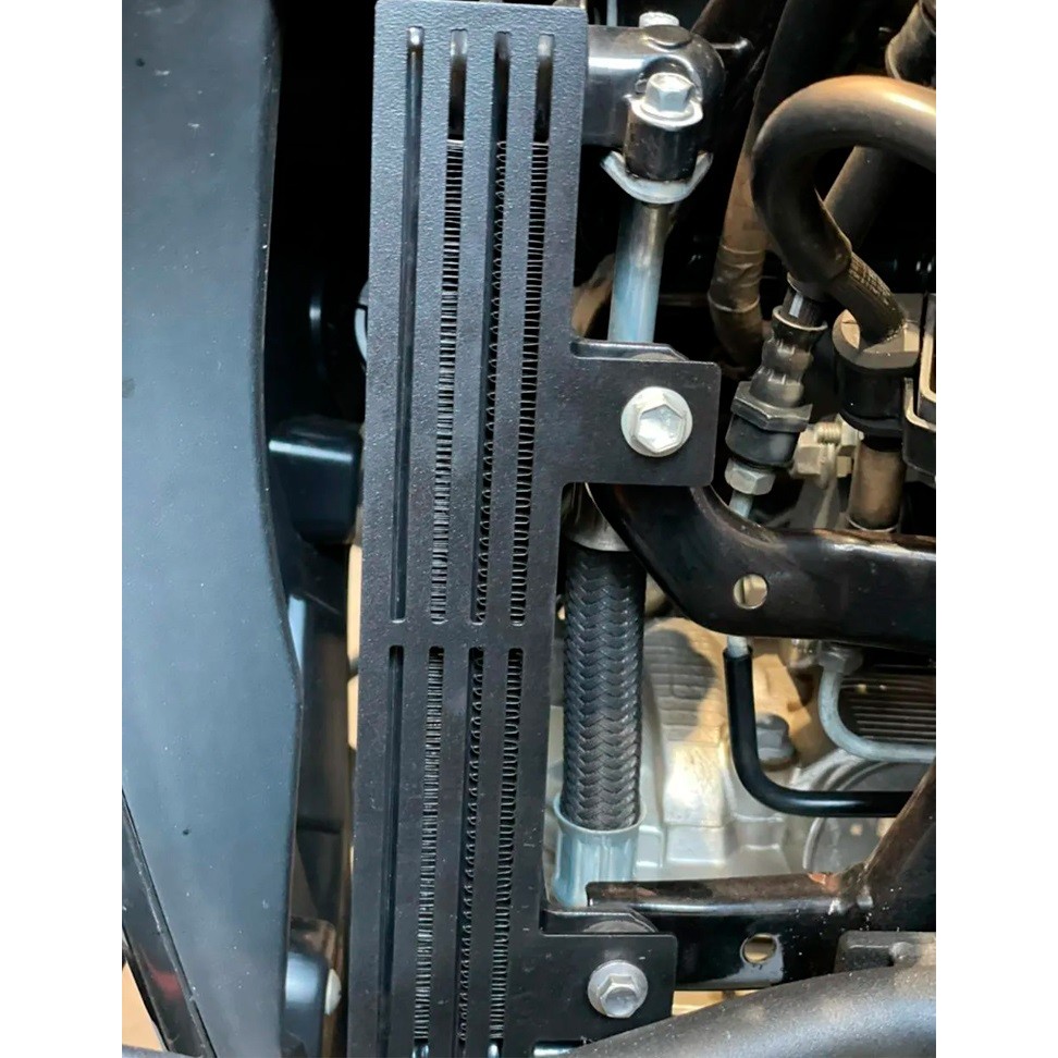 Protetor de Radiador de Óleo Para XTZ 250 Lander Bráz