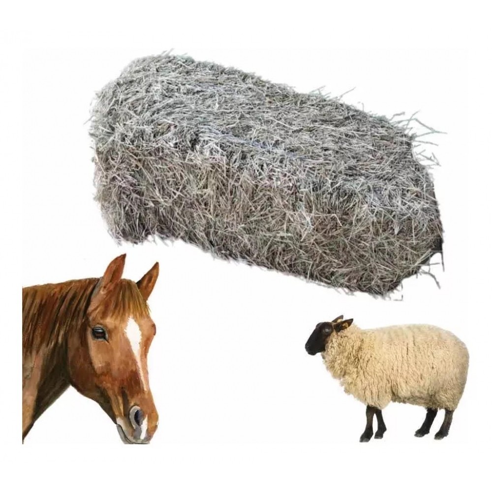 Fardo de Feno para Decoração: Onde Comprar | BuscaProdutos