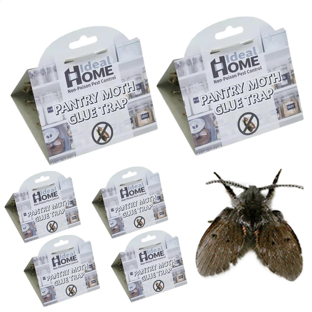 6 Pçs Despensa Traça Armadilhas Com Feromônios Prime Para Casa Ecofriendly Fly Catcher Pegajoso Indoor Armadilha antilkb