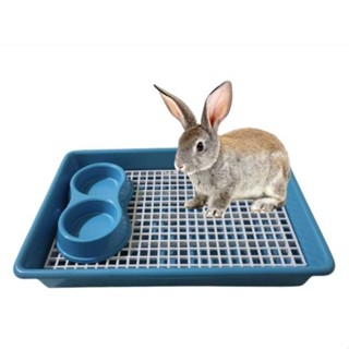 BANDEJA SANITÁRIA ESPAÇOSO PARA PORQUINHO DA ÍNDIA COELHO COM GRADE + COMED. DUPLO em Oferta na Shopee