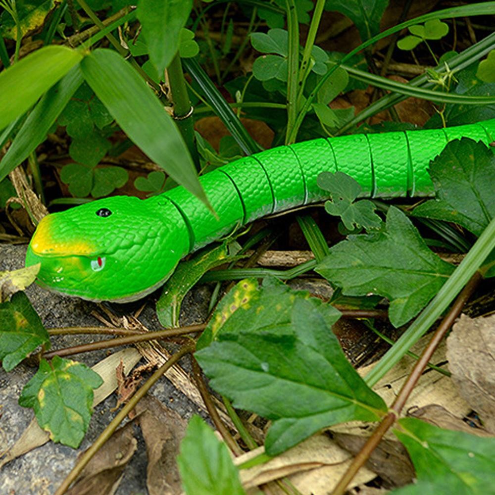 O que é Cobra de Controle Remoto? Guia e Onde Comprar | BuscaProdutos
