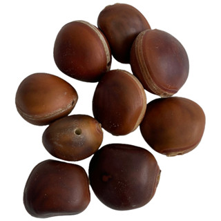 Kit 10 Unidades Semente Olho de Boi C/ Furo Umbanda Candomblé em Oferta na Shopee
