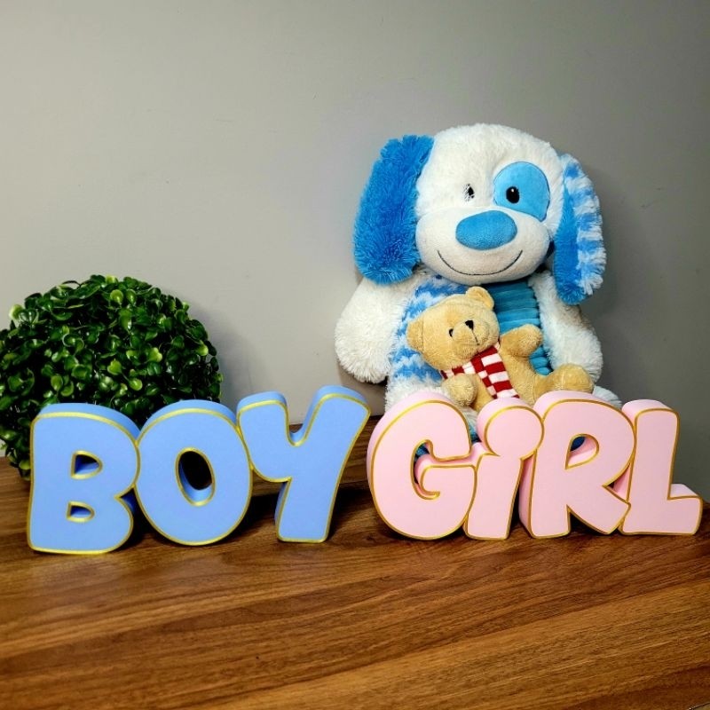 Boy or Girl - Letreiro para Chá Revelação, Azul Rosa Bebê, Decoração