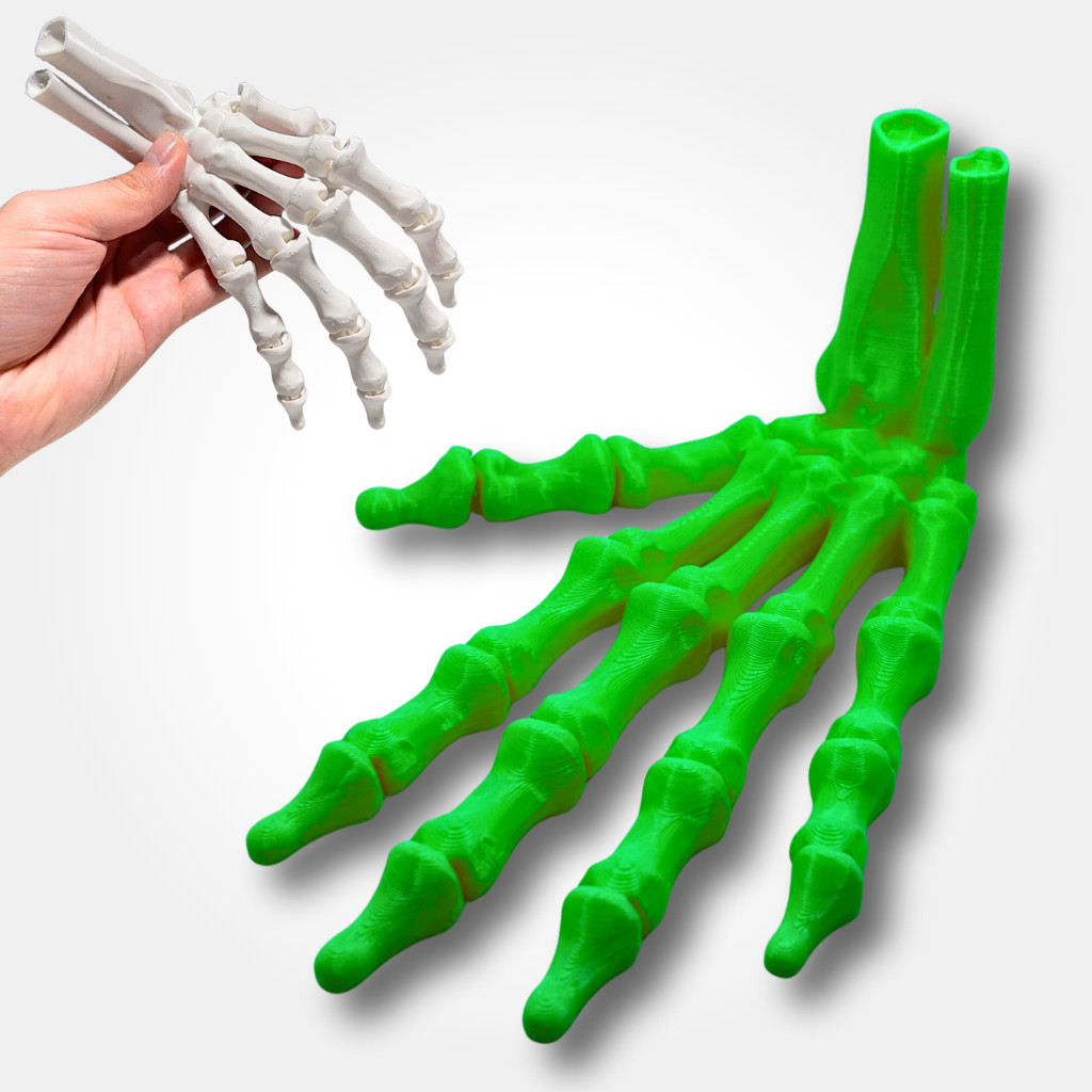 Mão Esqueleto Articulada – Modelo Anatômico Realista para Estudo ou Decoração de Halloween