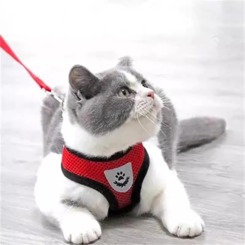 Guia Coleira de Malha Flexível com Colete Peitoral Ajustável para Cão Cachorro Gato Animais