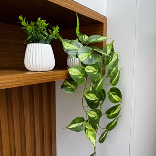 Kit 2 Vasos Decorativos com Plantas Artificiais | Jiboia Pendente Realista 60cm PINTADA + Folhagem Compacta em Oferta na Shopee