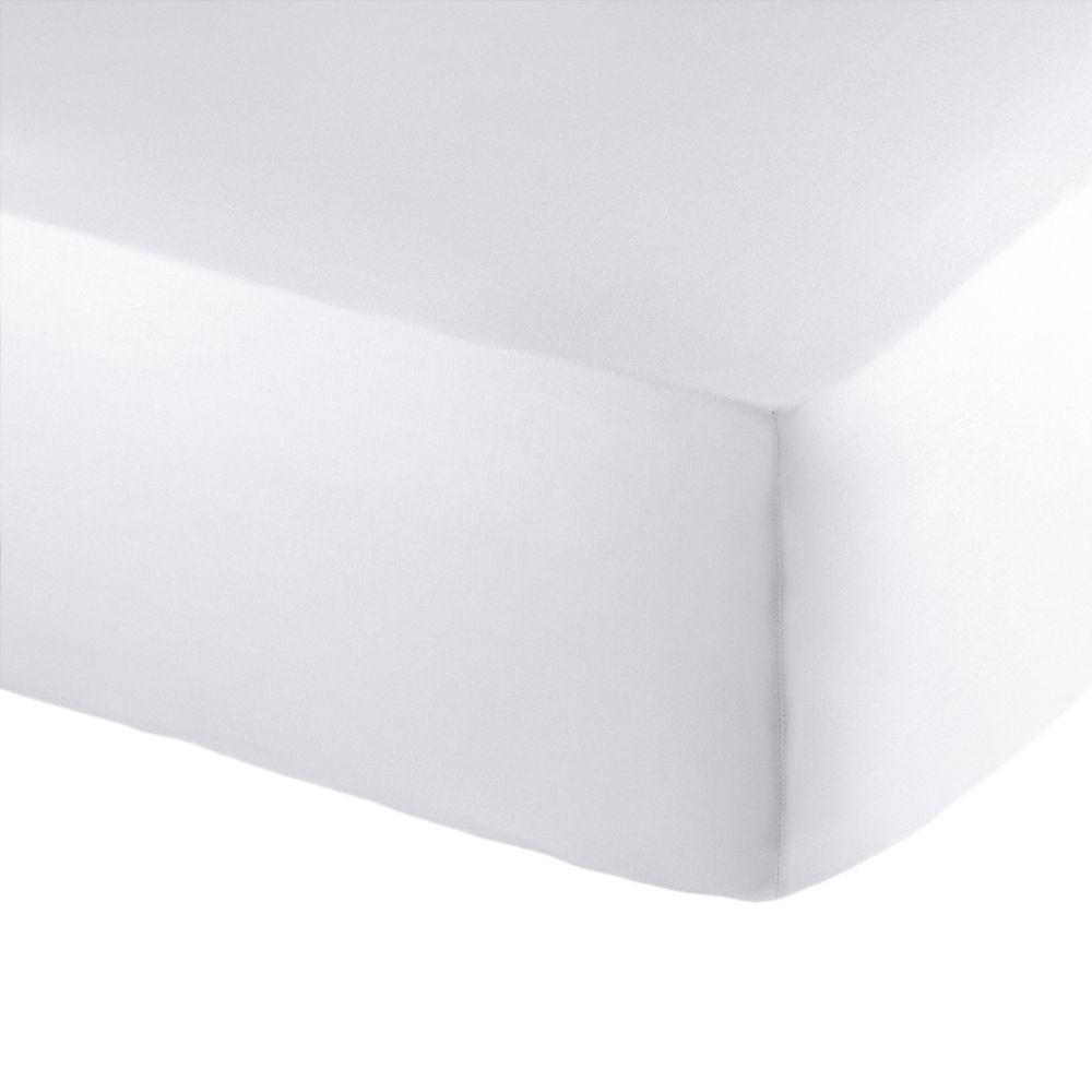 Lençol Algodão Queen Buddemeyer - Comprar com Melhor Preço em Roupas de Cama