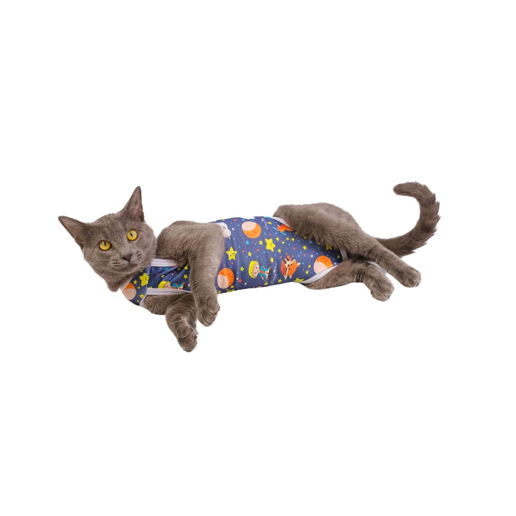 Roupa Gato Pós Cirúrgica Castração Pequeno Príncipe Azul