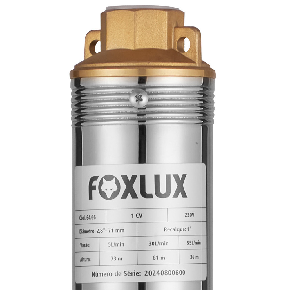 Bomba Submersa Caneta Foxlux 1 CV 220V  Poços e Cisternas Água Limpa Compacta com Caixa Comando