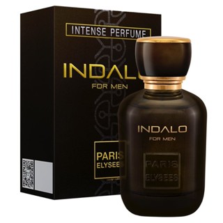 Indalo Paris Elysees Perfume Masculino 100 ml em Oferta na Shopee