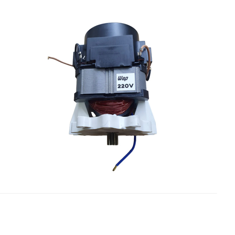 Motor 220v Lavadora Atacama Ousada Eco Fit Vg70-064a WAP