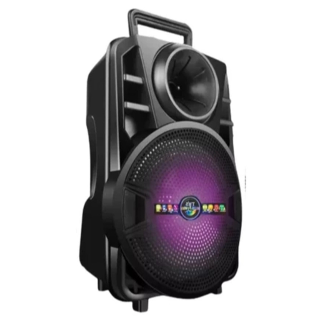 Caixa de Som Bluetooth Karaokê Potente 2000w PMPO Com Microfone e Controle Remoto TO-812
