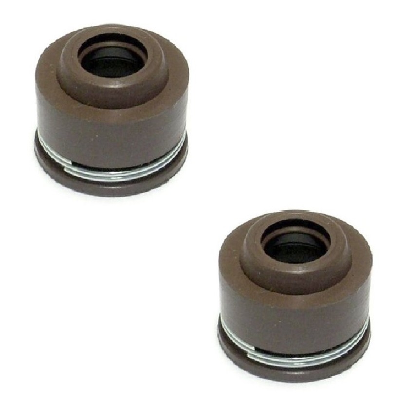 Par Retentores Haste Válvula Ybr 125 Factor / Ybr 125 Vedamotors em Oferta na Shopee