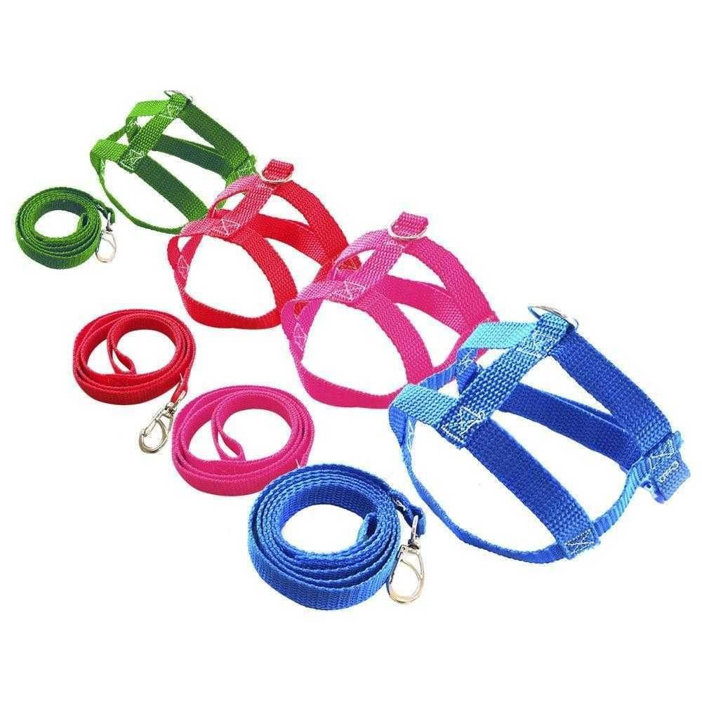Coleira Peitoral com Guia para Cachorros Pequenos, Filhotes, Pischer, Shih Tzu, Yorkshire Cães Macho e Fêmea - Colorida