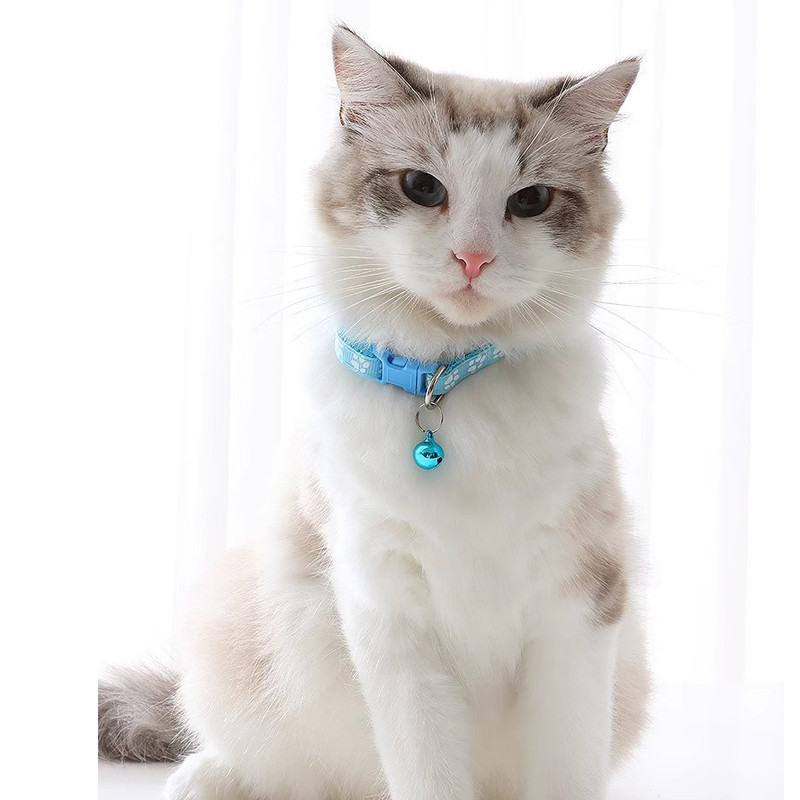 Coleira Teddy Ajustável Universal para Cães e Gatos com Sino