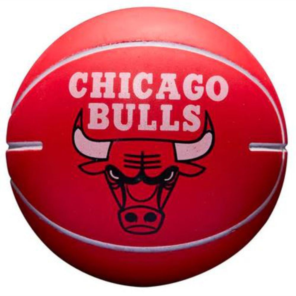 Wilson Chicago Bulls: Onde Comprar | BuscaProdutos