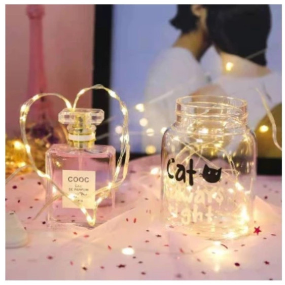 Kit com 2 Fios de Fada 2 Metros Led Para Decoração Festa Arte Presente Ambiente Decorado Baterias Diy Natal Ano Novo em Oferta na Shopee