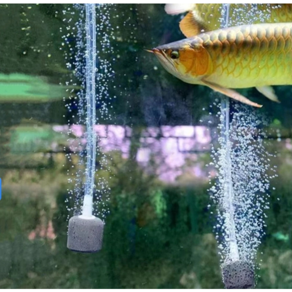 Bomba De Oxigênio/Ar Compressor Filtro USB Portátil Para Aquario De Peixes 12v Silencioso