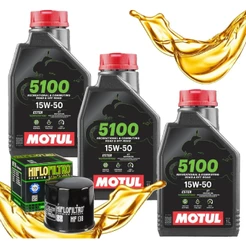 Troca de Óleo P/ Bandit 650 / Gladius 650 / Inazuma 250 Motul 5100 10w40 + Filtro Hiflo Hf138