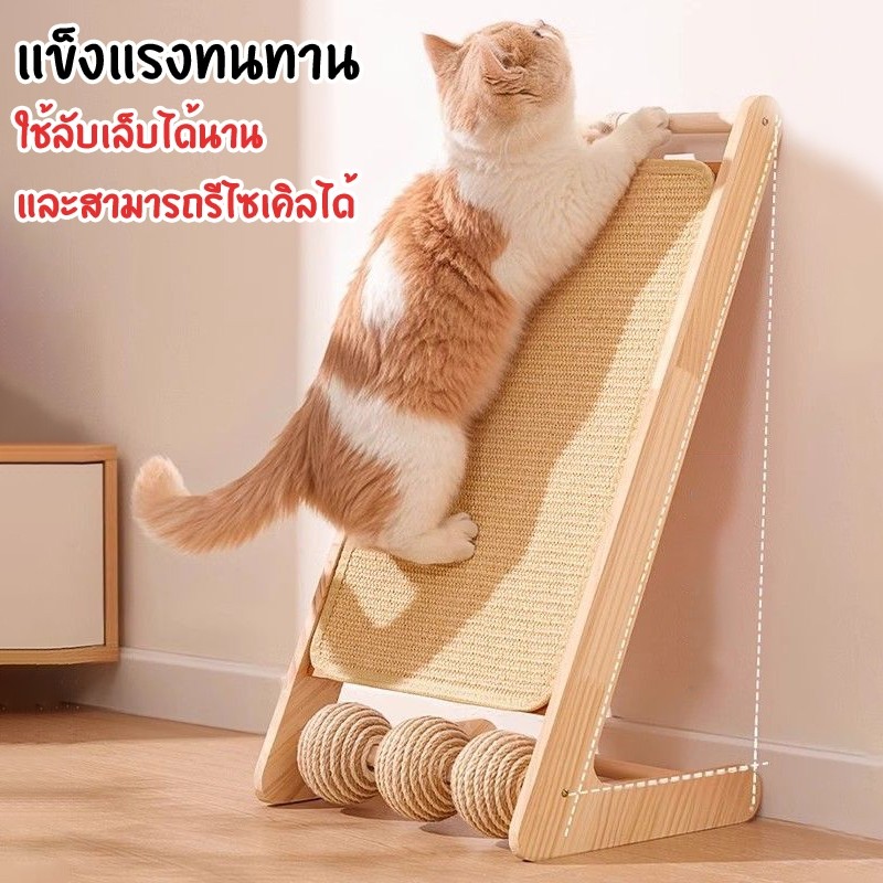 ที่ลับเล็บแมว ของเล่นแมว ฝนเล็บแมว ที่ฝนเล็บแมวลูกบอล ที่ฝนเล็บแมวใหญ่ ที่ฝนเล็บแมวขนาดใหญ่ บ้านแมว ที่ฝนเล็บแมว - ภาพที่ 5