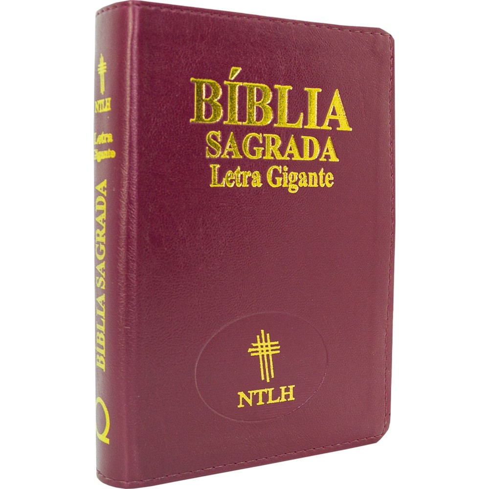 Bíblia com Indice Lateral: Onde Comprar | BuscaProdutos