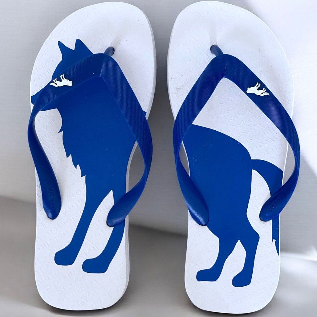 Chinelo Masc. Contraste Lobo Acostamento Ref.320829004