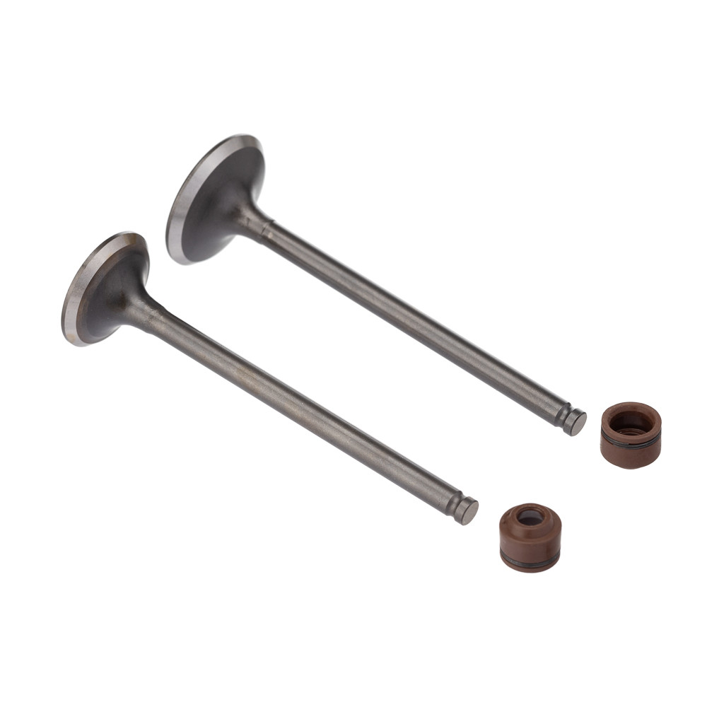 Valvula E Retentor Kit 4 Peças Ww3 Cg 125 2009/2018 Retentor Marrom em Oferta na Shopee