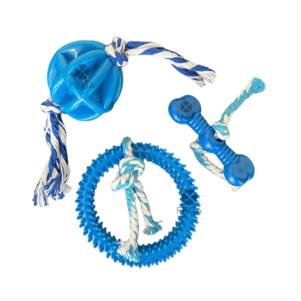 Kit 3 Brinquedos para Cachorros Pets Anemona + Bolinha com Corda + Ossinho com Corda