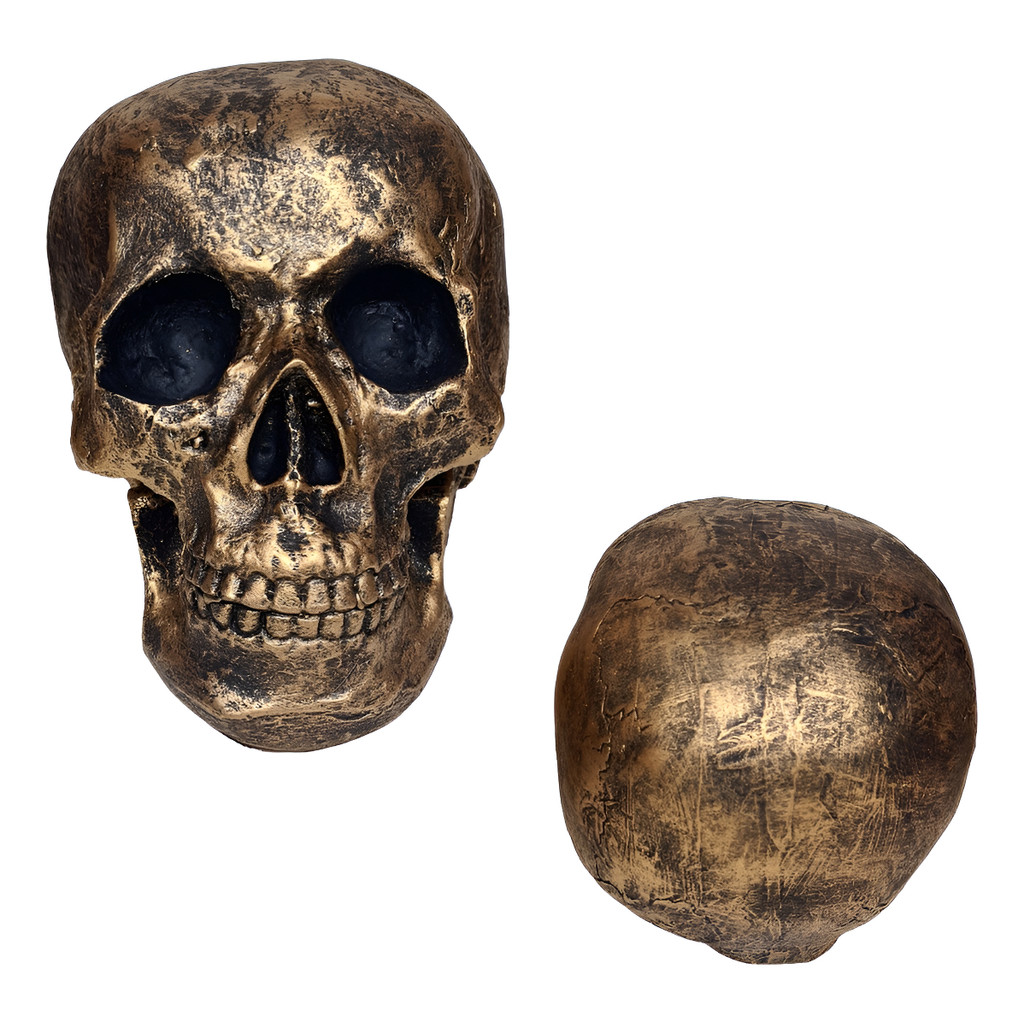 Crânio Caveira Tamanho Real Em Resina Estatuas Decorativas
