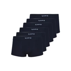 Kit com 6 Cuecas Sunga Lupo 656-001