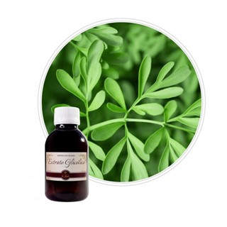 Extrato Glicólico de Arruda 100g em Oferta na Shopee