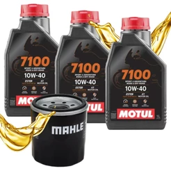 Troca de Óleo P/ Kawasaki Z300 Z400 Ninja 300 Ninja 400 Motul 7100 10w40 + Filtro