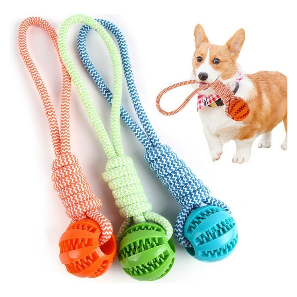 Brinquedo Pet Mordedor Corda Bolinha Interativo Caes Pestico Cor aleatório em Oferta na Shopee