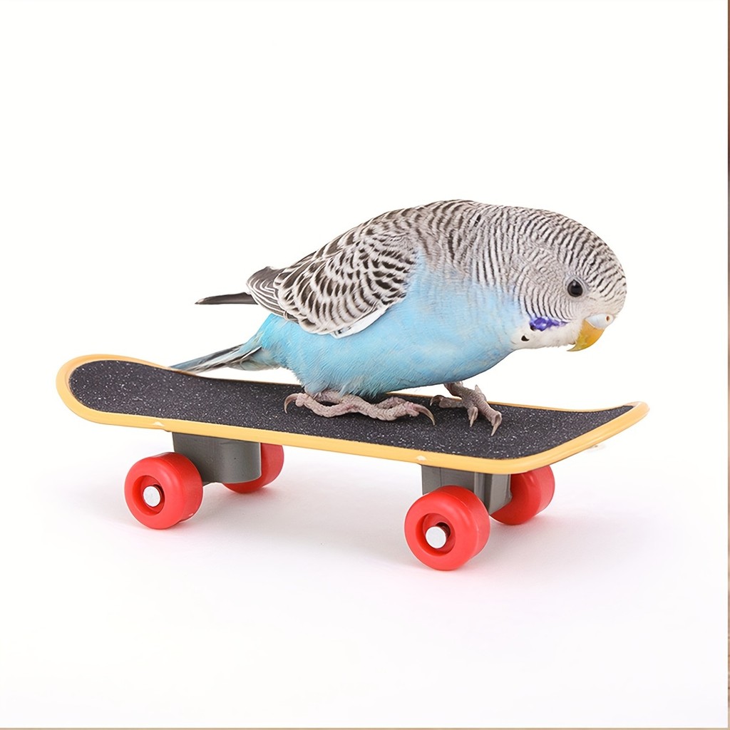 Acessórios para animais de estimação: 1 brinquedo para pássaros – brinquedo em forma de skate para pássaros, brinquedo d