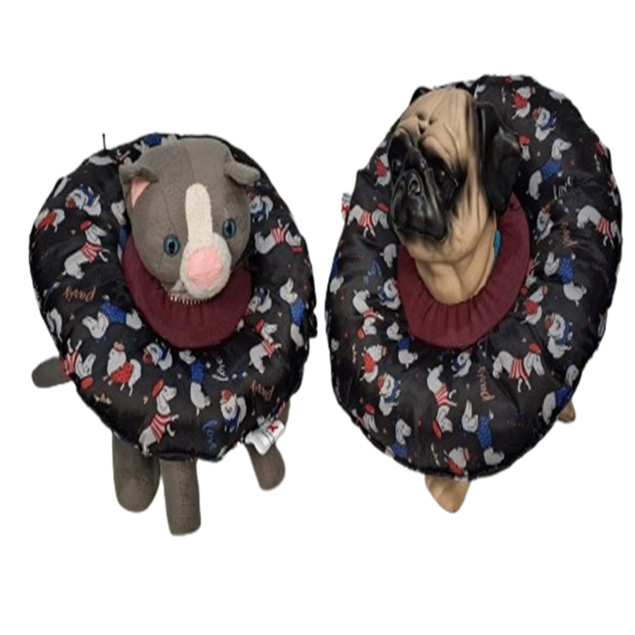 Colar pós cirúrgico BOIA para gatos e cães  Pug/Buldog/Shih tzu