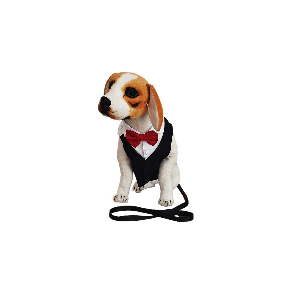 Roupa Fraque Casamento C/ Gravata Guia Cachorro Noivo Dudog