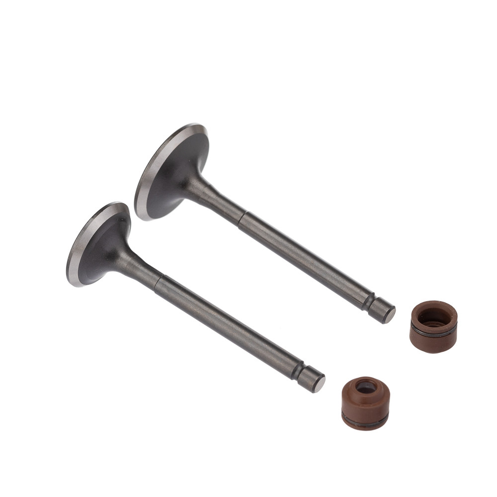 Valvula E Retentor Kit 4 Peças Ww3 Ybr 125 2000/ Retentor Marrom em Oferta na Shopee