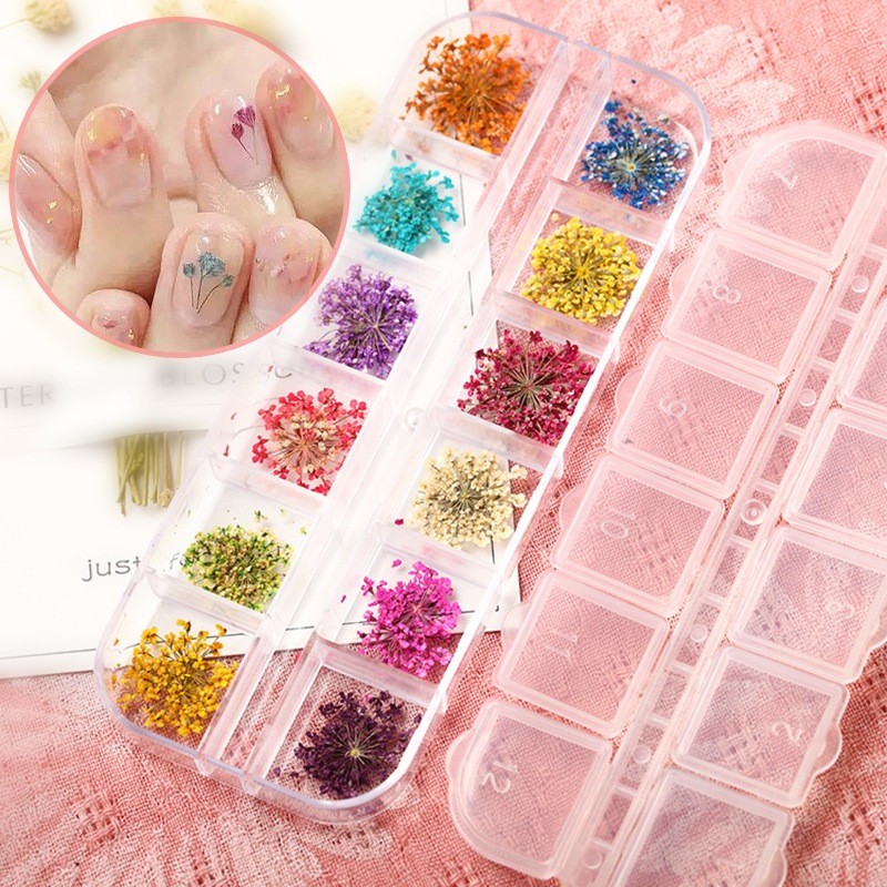Caixinha com 12/24/36 Flores Secas Encapsulamento Decoração Unhas De Gel