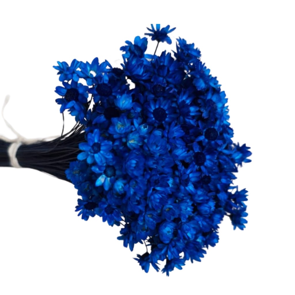 Sempre Viva Florzinha Azul Escuro , Diversas Variações flores selecionadas em Oferta na Shopee