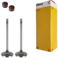 Kit Valvulas Admissao Escape Retentores Para Honda CG Cargo Fan Bros NXR 125 2009 A 2022