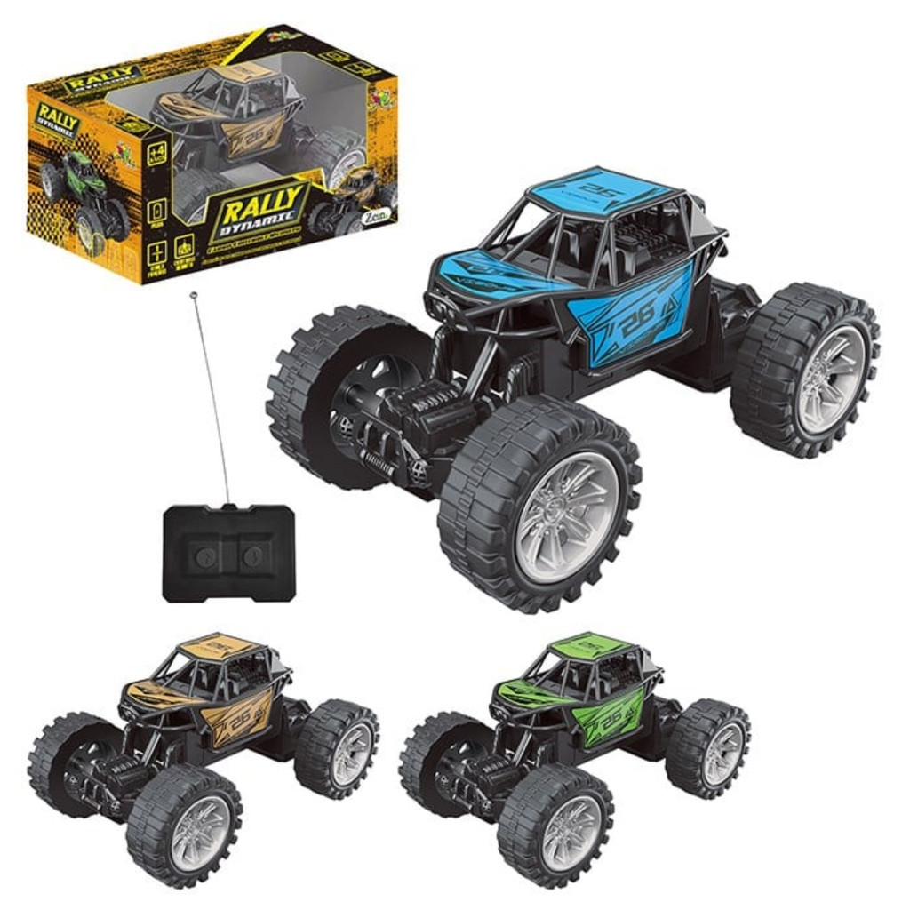 Carrinho Controle Remoto Off Road Rally