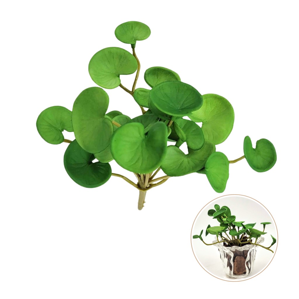 Suculenta Peperomia Verde 13cm Folhagem Artificial