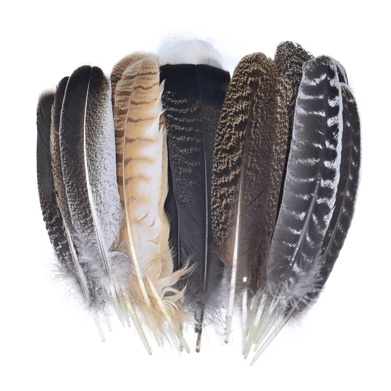 10 Pçs/Lote Penas De Águia Naturais Reais Para Decoração Peru Pássaro Faisão Chapéus Artesanato Acessórios De Carnaval P