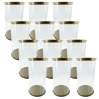 CX 12 Tubo Lata PET Transparente 8 X 16 CM Tampa Bronze em Oferta na Shopee