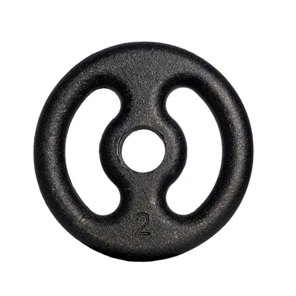 Anilha Fitness Ferro Pintada Academia Musculação Treino 2Kg