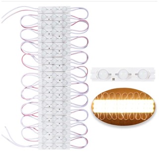 KIT 20 MODULO DE LED 3 LEDS LIGAÇAO DIRETO 110V 220V