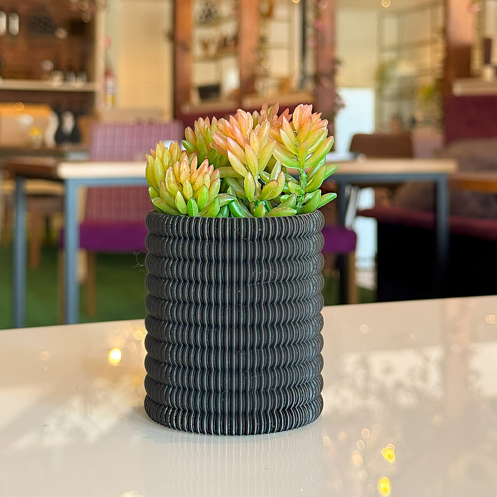 Vaso Decorativo para Interior Escritorio Quarto Infantil Cachepot Minimalista para Casa Banheiro